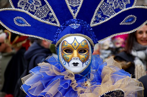 VenicePhotoNet | Carnevale di Venezia | Foodfotograf auf alleFotografen