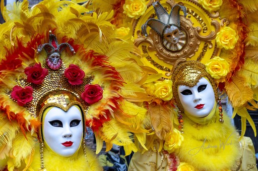 VenicePhotoNet | Carnevale di Venezia | Landschaftsfotograf auf alleFotografen