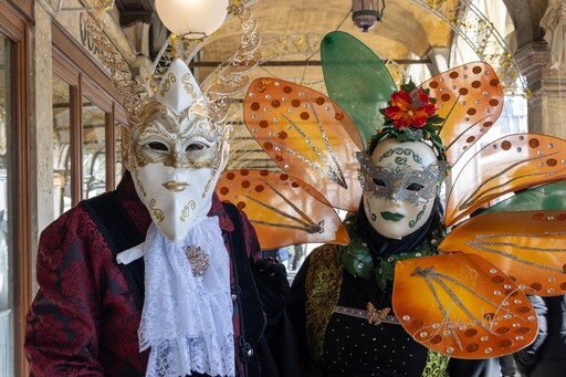 VenicePhotoNet | Carnevale di Venezia | Pressefotograf auf alleFotografen