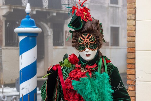 VenicePhotoNet | Carnevale di Venezia | Foodfotograf auf alleFotografen