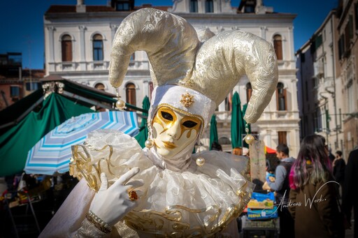 VenicePhotoNet | Carnevale di Venezia | Konzertfotograf auf alleFotografen