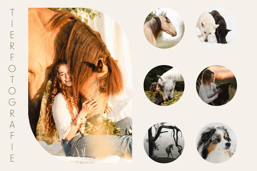 Sina J Mattenklott - Geschichtenfotografie | <3 | Konzertfotograf auf alleFotografen