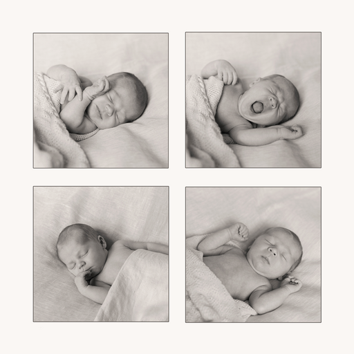 photo&more Steffi Pretz | Babybauch/Babys | Landschaftsfotograf auf alleFotografen