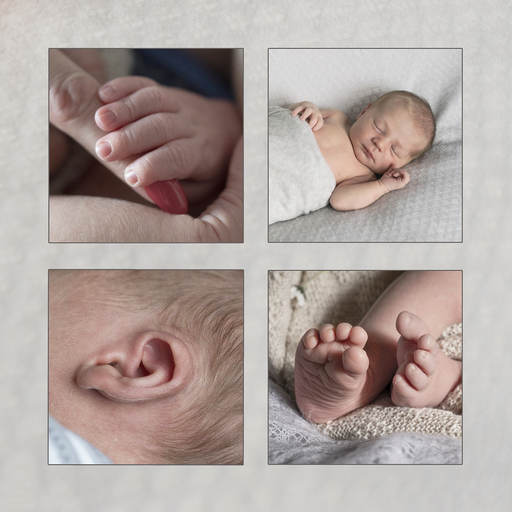 photo&more Steffi Pretz | Babybauch/Babys | Portraitfotograf auf alleFotografen