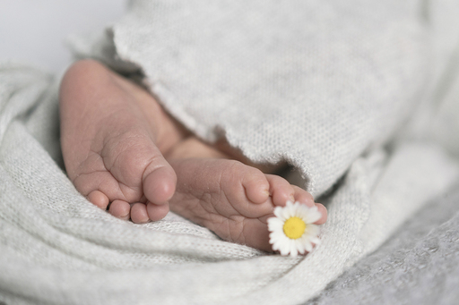 photo&more Steffi Pretz | Babybauch/Babys | Kinderfotograf auf alleFotografen