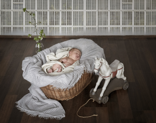 photo&more Steffi Pretz | Babybauch/Babys | Kinderfotograf auf alleFotografen