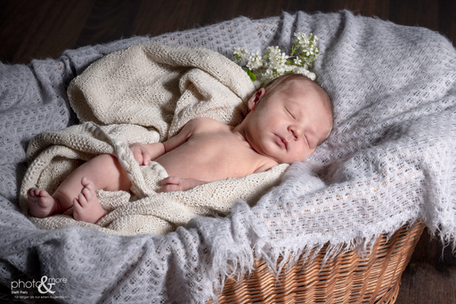 photo&more Steffi Pretz | Babybauch/Babys | Kinderfotograf auf alleFotografen