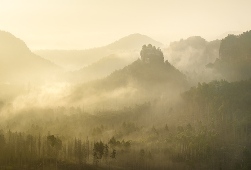 Kristin Weinhold | Natur und Landschaft | Tierfotograf auf alleFotografen