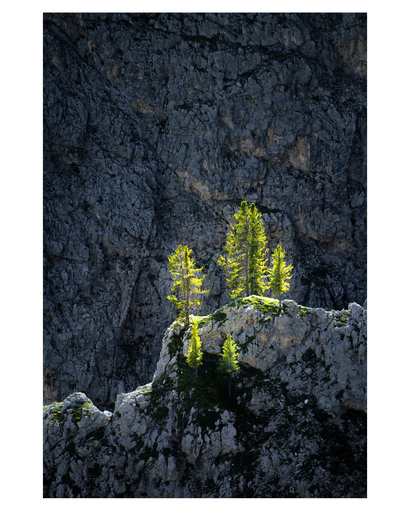 Kristin Weinhold | Natur und Landschaft | Portraitfotograf auf alleFotografen
