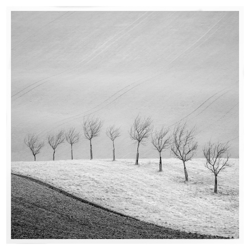 Kristin Weinhold | Natur und Landschaft | Babyfotograf auf alleFotografen