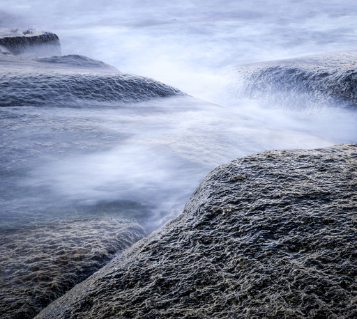 Kristin Weinhold | Natur und Landschaft | Tierfotograf auf alleFotografen