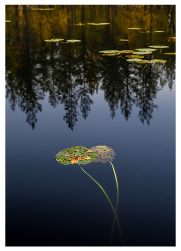 Kristin Weinhold | Natur und Landschaft | Hochzeitsfotograf auf alleFotografen