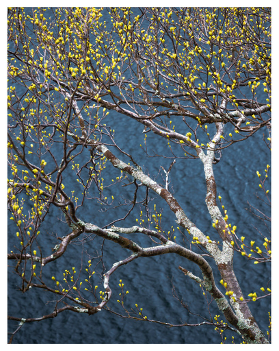Kristin Weinhold | Natur und Landschaft | Aktfotograf auf alleFotografen