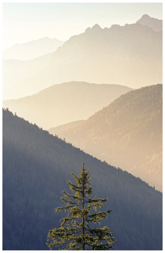 Kristin Weinhold | Natur und Landschaft | Hundefotograf auf alleFotografen