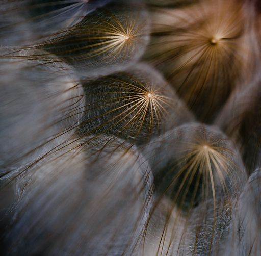 Kristin Weinhold | Natur und Landschaft | Familienfotograf auf alleFotografen