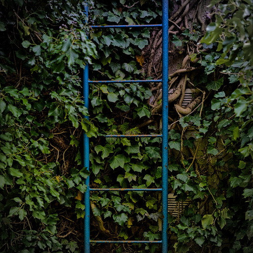 HappyPlace | RANDOM  | Beautyfotograf auf alleFotografen