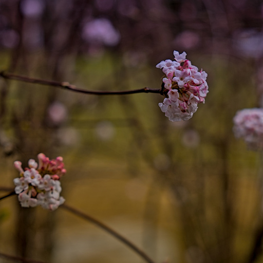 HappyPlace | RANDOM  | Imagefotograf auf alleFotografen