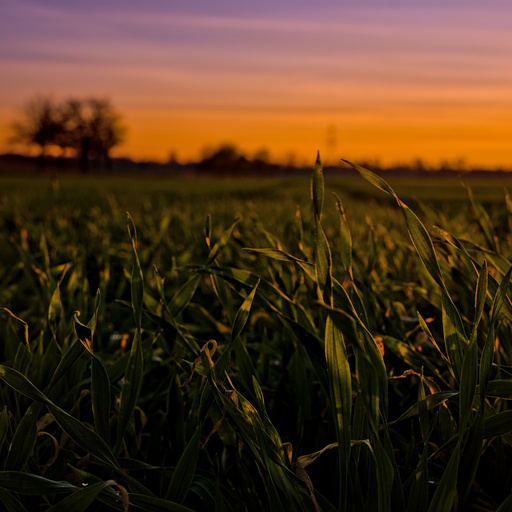HappyPlace | RANDOM  | Architekturfotograf auf alleFotografen