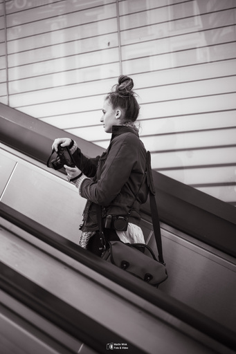 Fototrainer Wink | Street_Photography | Hundefotograf auf alleFotografen
