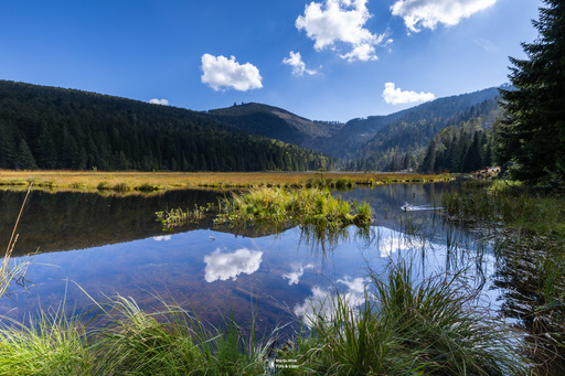 Fototrainer Wink | Landscape | Hochzeitsfotograf auf alleFotografen