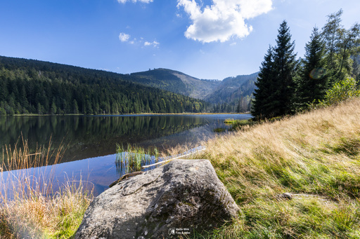 Fototrainer Wink | Landscape | Tierfotograf auf alleFotografen