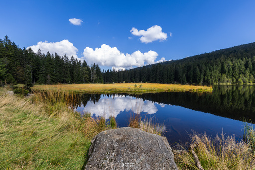 Fototrainer Wink | Landscape | Tierfotograf auf alleFotografen