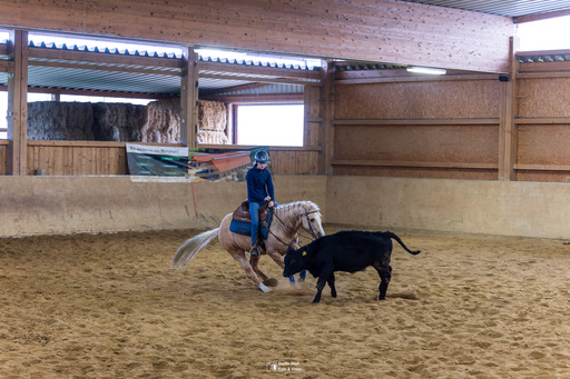 Fototrainer Wink | Pferde | Architekturfotograf auf alleFotografen