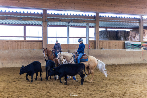 Fototrainer Wink | Pferde | Tierfotograf auf alleFotografen