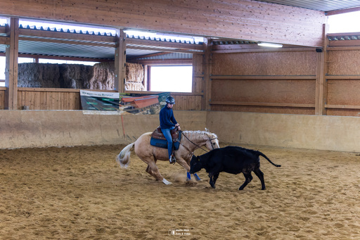 Fototrainer Wink | Pferde | Luftbildfotograf auf alleFotografen