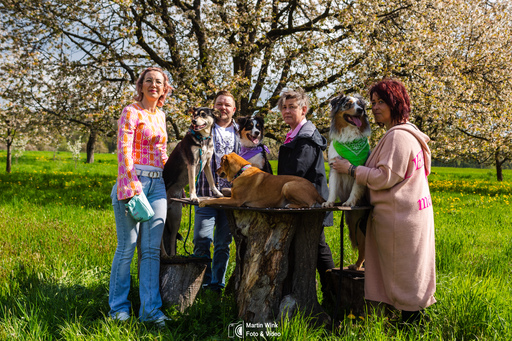 Fototrainer Wink | Hunde | Pferdefotograf auf alleFotografen