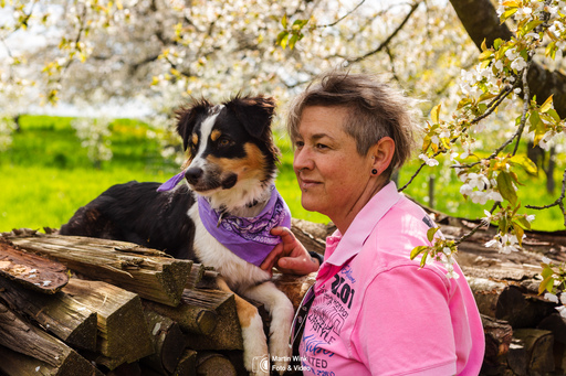 Fototrainer Wink | Hunde | Hundefotograf auf alleFotografen