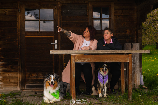 Fototrainer Wink | Hunde | Architekturfotograf auf alleFotografen
