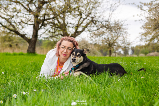 Fototrainer Wink | Hunde | Pferdefotograf auf alleFotografen