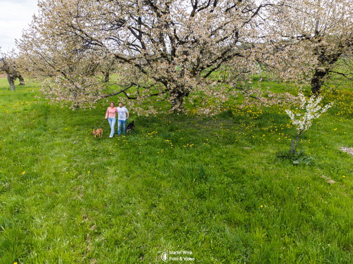 Fototrainer Wink | Drohne | Konzertfotograf auf alleFotografen