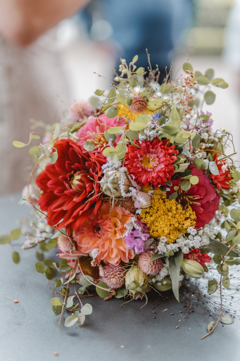 Britta Gottschalk Fotografie | Hochzeit | Paarfotograf auf alleFotografen
