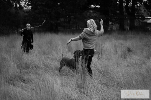 Denise Blohm | Hundeportrait | Tierfotograf auf alleFotografen