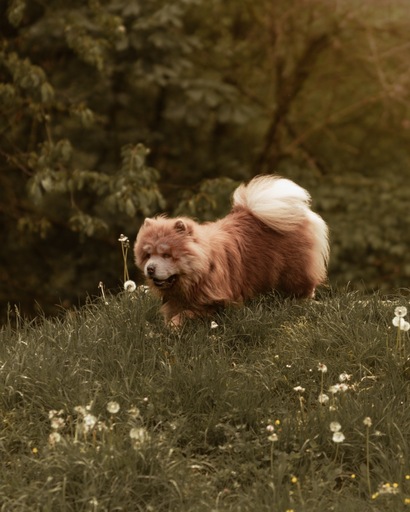 RedPyjamas.Duo | Familie | Babyfotograf auf alleFotografen