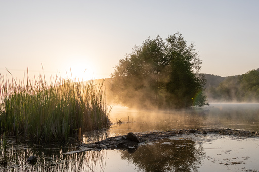 Saaleland-Photography | Natur | Tierfotograf auf alleFotografen