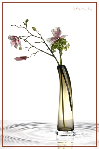 Foto Limbrunner | Beispiele | Pressefotograf auf alleFotografen