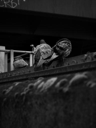 Skyla.Lebenskontraste | Architektur und Lifestyle  | Industriefotograf auf alleFotografen