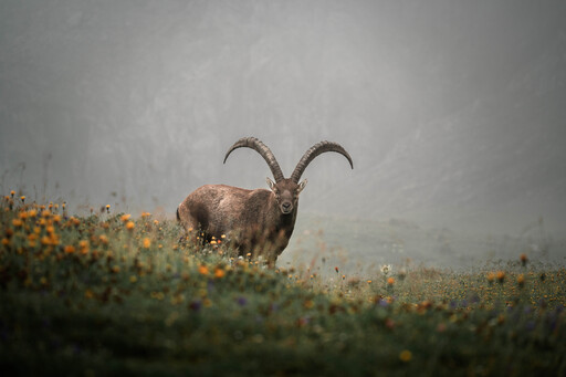 Nico Bogenreuther | Berglandschaften | Interiorfotograf auf alleFotografen