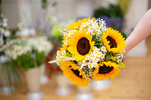 Sebastian Reichenbach | Produktfotografie | Werbefotograf auf alleFotografen