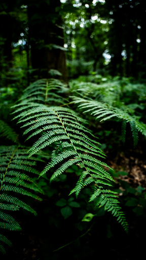Nadeem | Bilder | Interiorfotograf auf alleFotografen