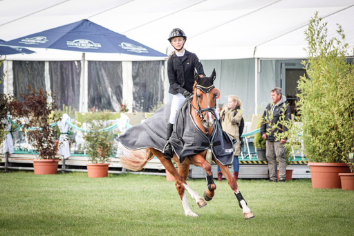 Rieke Goldbach | Turnierfotografie | Tierfotograf auf alleFotografen