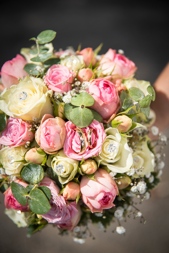 Lena Schöning Fotografie | Hochzeit | Bewerbungsfotograf auf alleFotografen