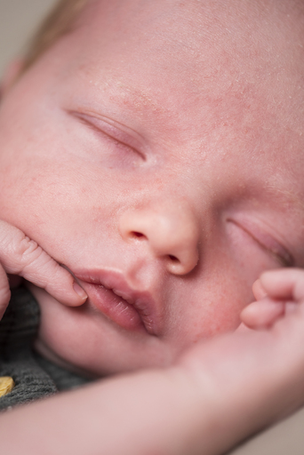 Lena Schöning Fotografie | New Born | Portraitfotograf auf alleFotografen