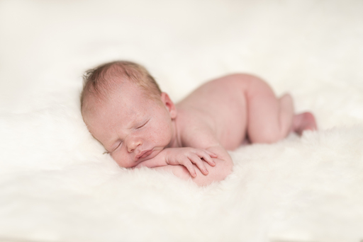 Lena Schöning Fotografie | New Born | Portraitfotograf auf alleFotografen