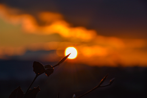 hobby_photographer44 | Natur | Tierfotograf auf alleFotografen