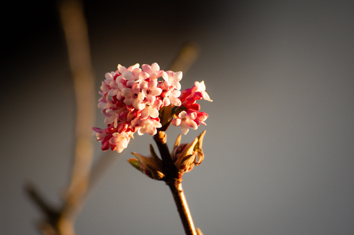 hobby_photographer44 | Natur | Landschaftsfotograf auf alleFotografen
