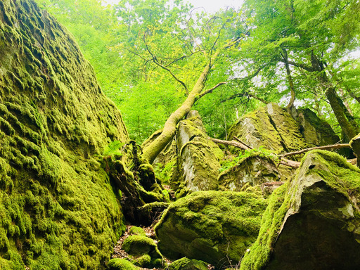 iNelloP | Impressionen. | Kunstfotograf auf alleFotografen